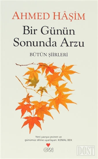 Bir Günün Sonunda Arzu